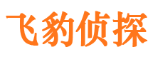 新抚市侦探公司